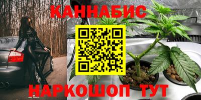 герыч Новодвинск