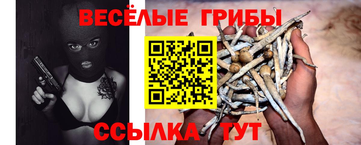 Топки  что такое наркотик  Вход с VPN  Псилоцибиновые грибы мухоморы 
